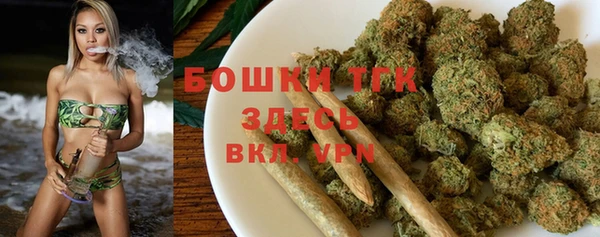 гашик Кулебаки