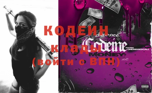гашик Кулебаки