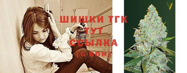 гашик Кулебаки