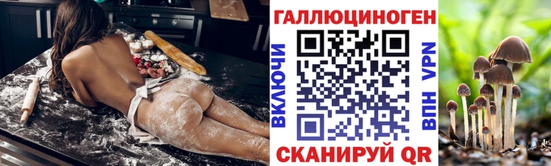 Псилоцибиновые грибы прущие грибы  ссылка на мегу ТОР  Шилка 