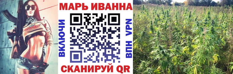как найти закладки  omg зеркало  Шишки марихуана гибрид  Шилка 